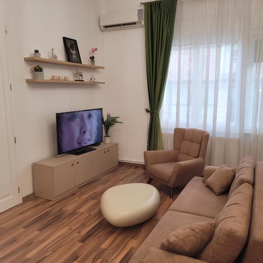 B8 - Spacious, Charming Apartment In Central Sibiu Exterior photo