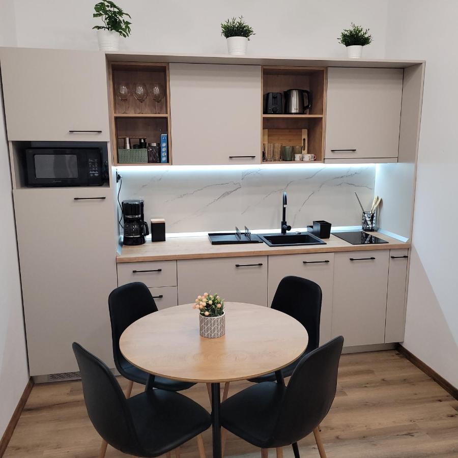 B8 - Spacious, Charming Apartment In Central Sibiu Exterior photo